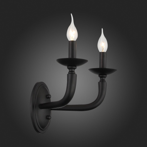 SL1114.401.02 Бра ST-Luce Черный E14 2*40W FORTEZA фото 2 SL1114.401.02 Бра ST-Luce Черный E14 2*40W FORTEZA фото 2