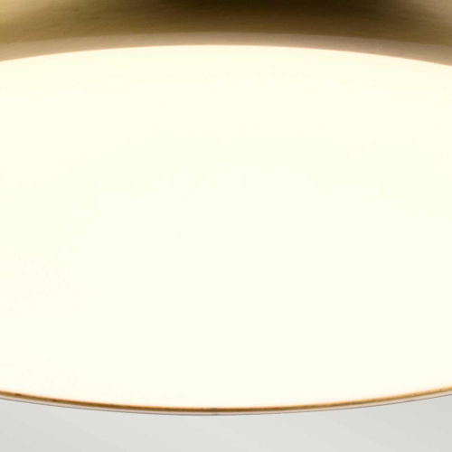 Потолочный светильник для ванных комнат Elstead Lighting WELLAND-F-S-AB фото 5