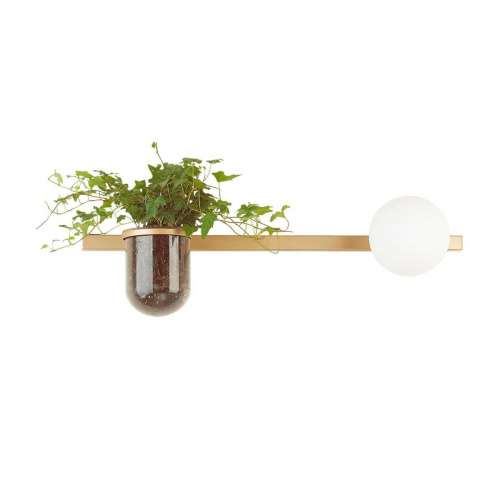 Настенный светильник Odeon Light Walli Flower 4682/1WA Настенный светильник Odeon Light Walli Flower 4682/1WA