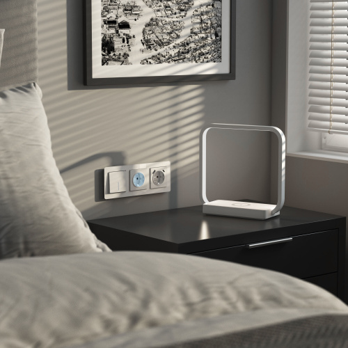 Розетка с подсветкой (белый матовый) W1171461 фото 4 Розетка с подсветкой (белый матовый) W1171461 фото 4