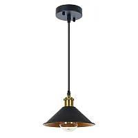 Подвесной светильник Arte Lamp CAPPELLO A7037SP-1BK