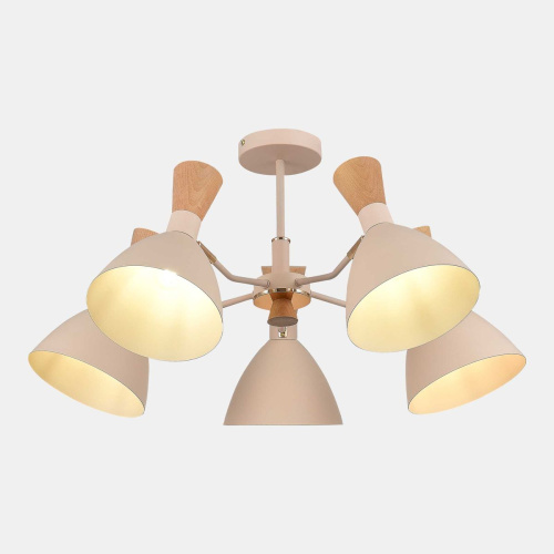 Потолочная люстра Evoluce Vista SLE1256-502-05 фото 5