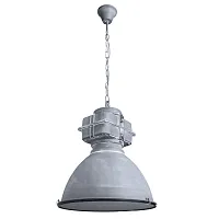 Подвесной светильник Arte Lamp WARHOL A5014SP-1BG