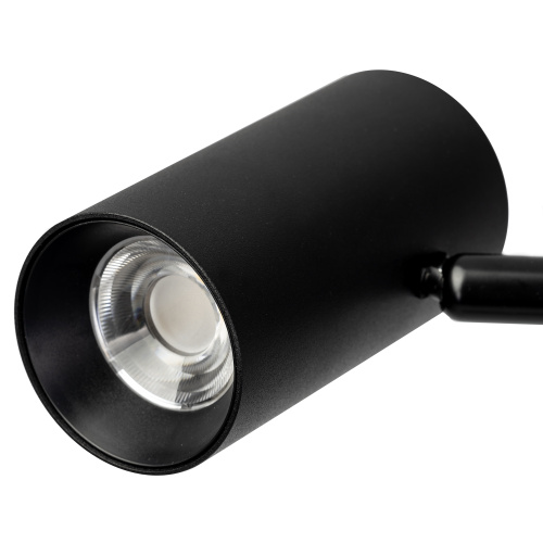 Citilux Twin CL809011N Торшер светодиодный Чёрный фото 7 Citilux Twin CL809011N Торшер светодиодный Чёрный фото 7