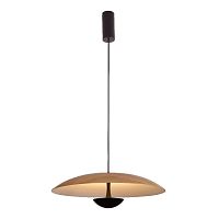 Подвесной светодиодный светильник DesignLed JY P0608-450A-WD-WW 003405