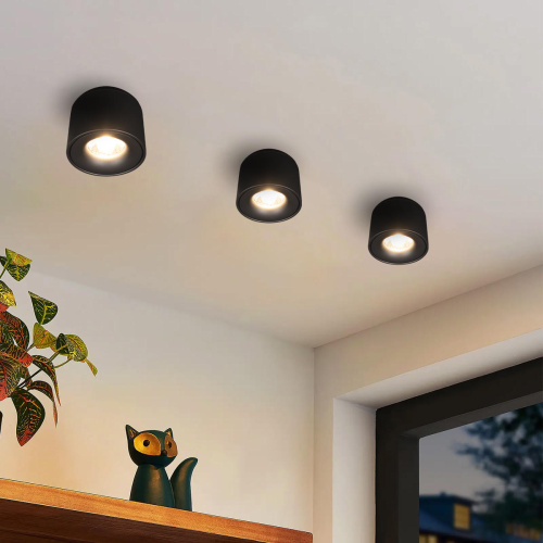 10219 Black 3000K Потолочный светильник LOFT IT Tictac фото 5 10219 Black 3000K Потолочный светильник LOFT IT Tictac фото 5