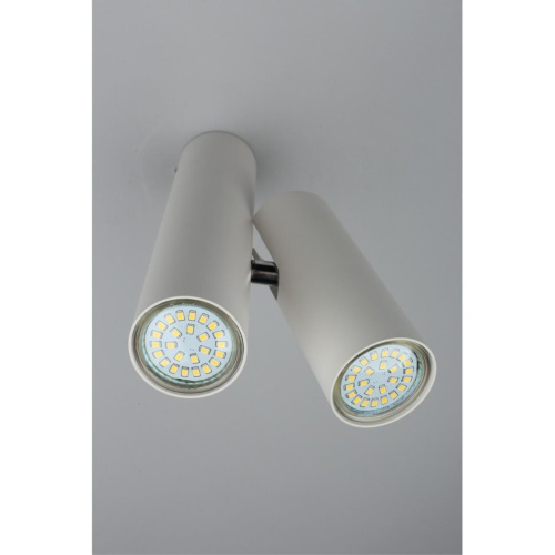 Светильник настенно-потолочный OML-20311-02 фото 3