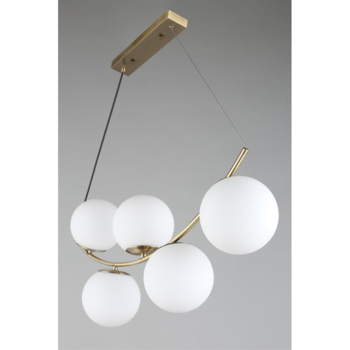 Люстра подвесная OML-94903-05 фото 5