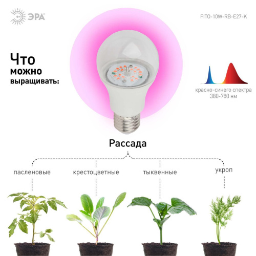Лампа светодиодная для растений ЭРА E27 10W 1310K прозрачная FITO-10W-RB-E27-K Б0039069 фото 4 Лампа светодиодная для растений ЭРА E27 10W 1310K прозрачная FITO-10W-RB-E27-K Б0039069 фото 4