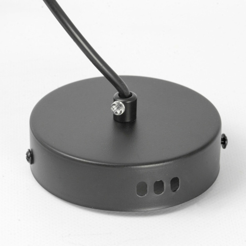 Подвесной светильник Lussole SY9707 фото 6