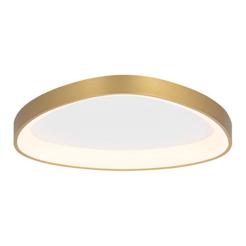 Citilux GENKA SMART CL756A142 LED Умная люстра фото 3