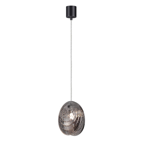 5038/1 MODERN ODL24 367 черный/дымчатый/металл/стекло Подвес G9 1*40W MUSSELS 5038/1 MODERN ODL24 367 черный/дымчатый/металл/стекло Подвес G9 1*40W MUSSELS