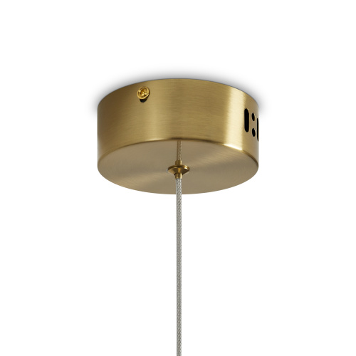 Подвесной светильник Freya FR6139PL-L8BS1 фото 10