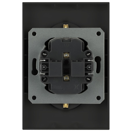 Розетка ЭРА Arktik 16-2107-05 без заземления двойная 2X2P 16А-250В антрацит Б0071685 фото 4