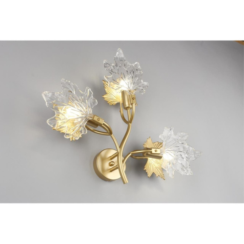 Светильник настенный (Бра) OML-52701-03 фото 3 Светильник настенный (Бра) OML-52701-03 фото 3