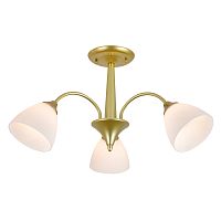 Светильник на штанге 150003/3R E27*60W Gold