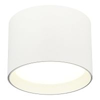 ST163.502.01.02 Светильник потолочный Белый GX53 1*50W IP20 D85xH60 220V Без ламп Накладные светильники