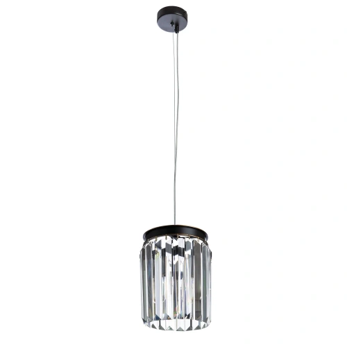 Подвесной светильник Divinare NOVA 3001/01 SP-1 Подвесной светильник Divinare NOVA 3001/01 SP-1