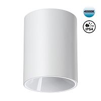 359421 OVER NT24 430 белый Светильник накладной влагозащищённый IP54 LED 15W 170-265V 4000К 1350Лм RECTE