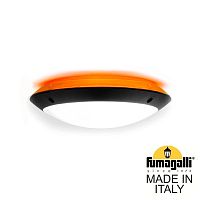 Fumagalli Уличное бра FUMAGALLI LUCIA BACKLIT 1R3.000.000.AYE27OR1