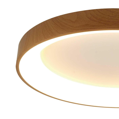 Потолочный светодиодный светильник Mantra Niseko II 8644 фото 2