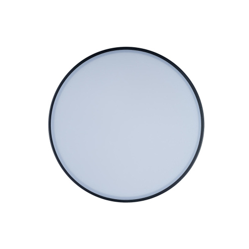 10002/12 Black Потолочный светильник LOFT IT Axel фото 3