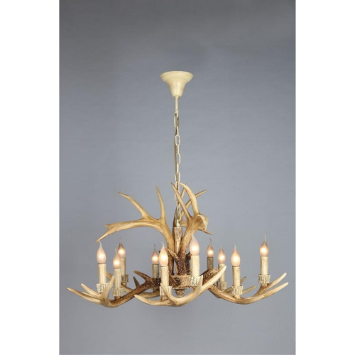 Люстра подвесная OML-52003-10 фото 5 Люстра подвесная OML-52003-10 фото 5