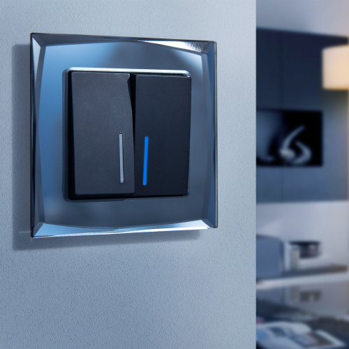 Рамка из стекла на 1 пост Diamant черный W0011208 фото 5 Рамка из стекла на 1 пост Diamant черный W0011208 фото 5