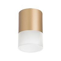 R349081 Светильник RULLO GX53 (213490+202481)
