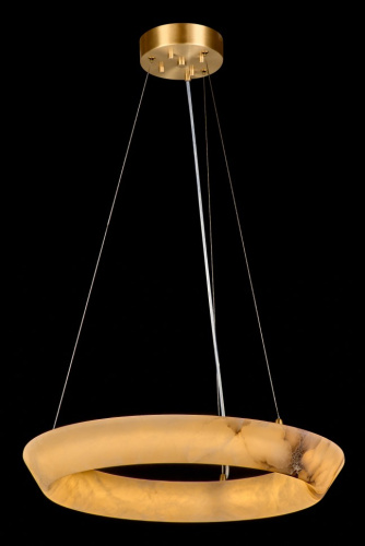 Подвесная люстра Ophelie FL1206-5P фото 4