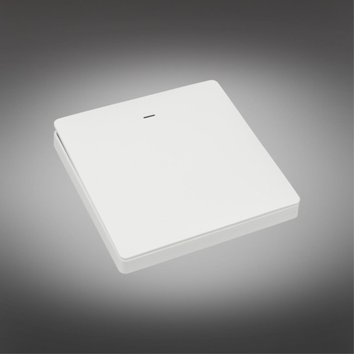 Трековое управление APL.0190.00.01 фото 3