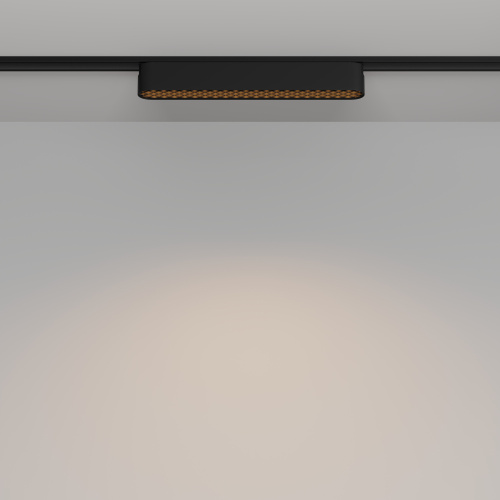 Трековый светильник Technical TR084-1-12W3K-B фото 10