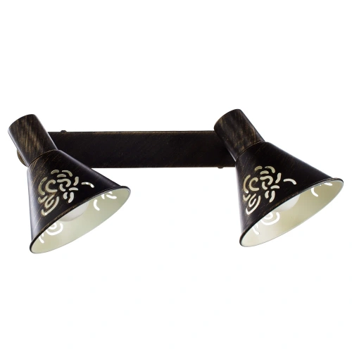 Спот Arte Lamp CONO A5218AP-2BR Спот Arte Lamp CONO A5218AP-2BR