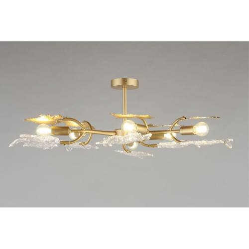 Люстра потолочная OML-52707-06 фото 7 Люстра потолочная OML-52707-06 фото 7