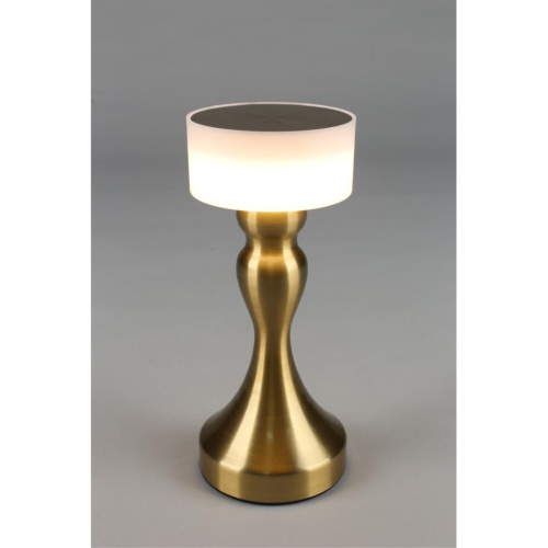 Настольная лампа OML-40304-01 фото 12