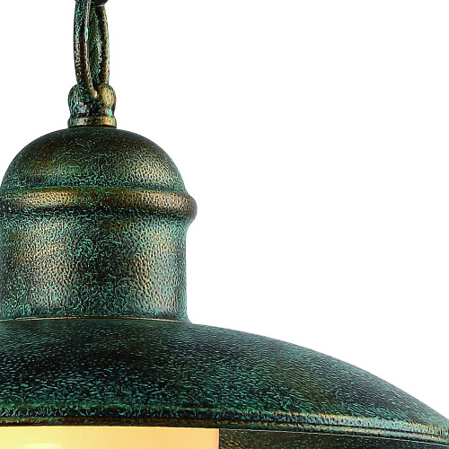 Подвесной светильник Arte Lamp PASSATO A9255SP-1BG фото 4