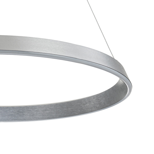 Подвесной светильник 14019/1P Silver фото 2