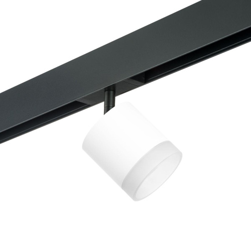 Комплект с трековым светильником Lightstar Rullo (213486+595087+202480) PRO348680