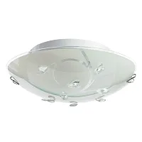 Потолочный светильник Arte Lamp JASMINE A4040PL-2CC