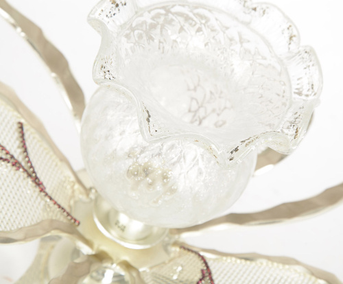 Настенный/Потолочный светильник 6907/P1 01 Piccolo V2562 фото 2