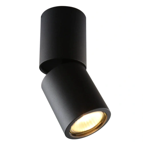 Спот Divinare GAVROCHE POSTO 1800/04 PL-1 Спот Divinare GAVROCHE POSTO 1800/04 PL-1