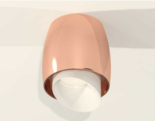 Комплект накладного светильника Ambrella light Techno Spot XS1144021 PPG/FR золото розовое полированное/белый матовый (C1144, N7175) фото 2