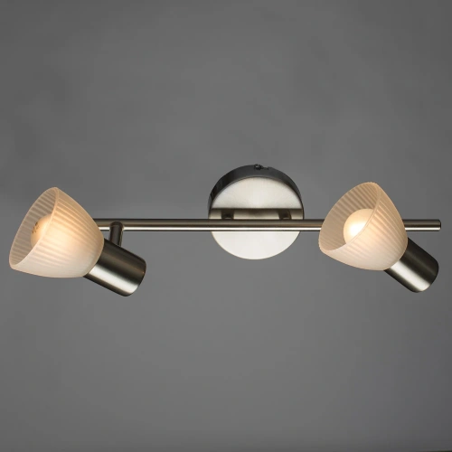 Спот Arte Lamp PARRY A5062AP-2SS фото 2 Спот Arte Lamp PARRY A5062AP-2SS фото 2