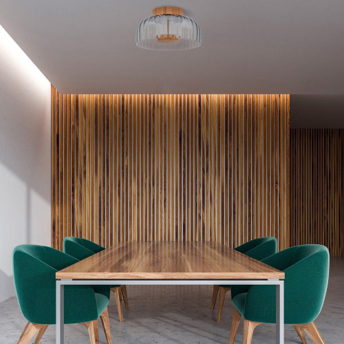 Потолочный светодиодный светильник Lightstar Celesta 809061 фото 5