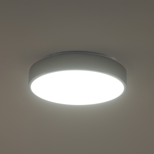 Светильник потолочный накладной LED хром 36Вт D30см Zortes TORTTY ZRS.02565.36 фото 6 Светильник потолочный накладной LED хром 36Вт D30см Zortes TORTTY ZRS.02565.36 фото 6