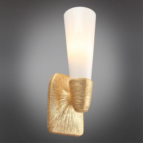 Светильник настенный (Бра) APL.800.01.01 фото 2