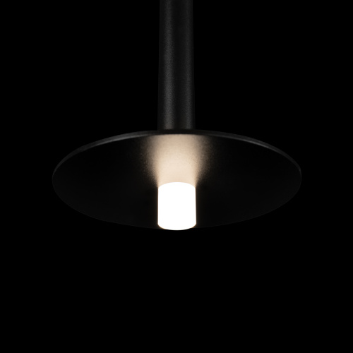 10358/830 Disk Подвесной светильник LOFT IT Reed фото 7 10358/830 Disk Подвесной светильник LOFT IT Reed фото 7