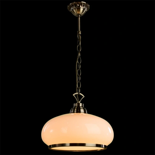 Подвесной светильник Arte Lamp ARMSTRONG A3561SP-1AB фото 2