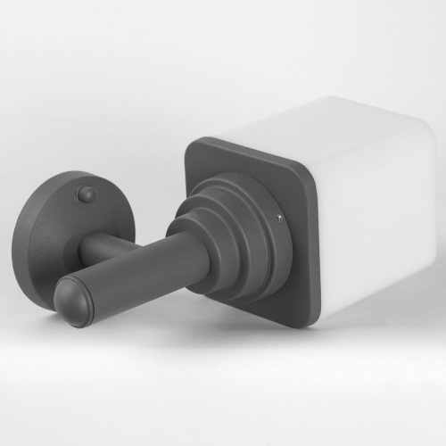 Уличный настенный светильник Lussole Lgo LSP-8956 фото 2