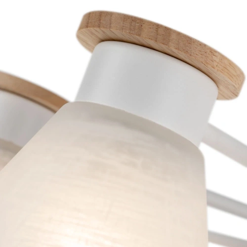 Потолочная люстра Arte Lamp TYLER A1031PL-8WH фото 3 Потолочная люстра Arte Lamp TYLER A1031PL-8WH фото 3